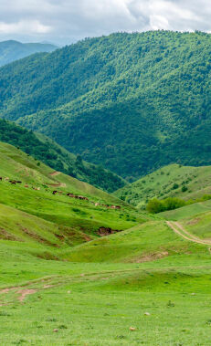 Day tours to learn about Gadabay's history