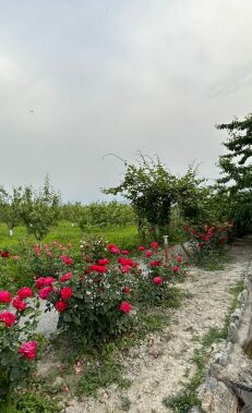 Agritourism haven at Sheki’s Bio Garden