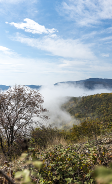 treasures of Tugh from the mists of time