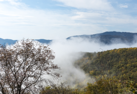 treasures of Tugh from the mists of time