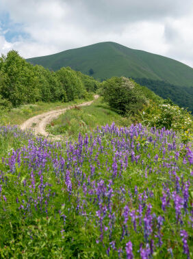 Hiking along the Gumukh - Gashgachay trail