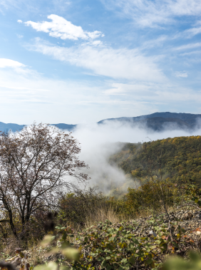 treasures of Tugh from the mists of time