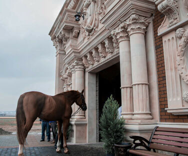 Omar Riding Club