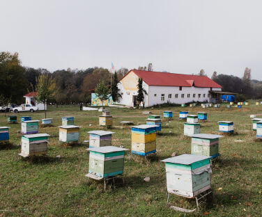 Honey House in Lekit Village