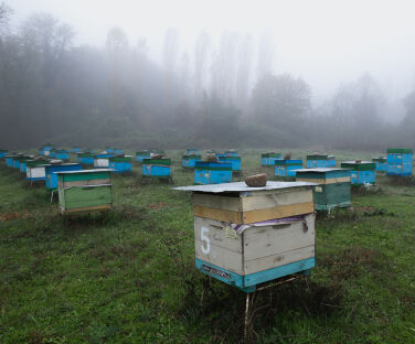 Honey House in Lekit Village