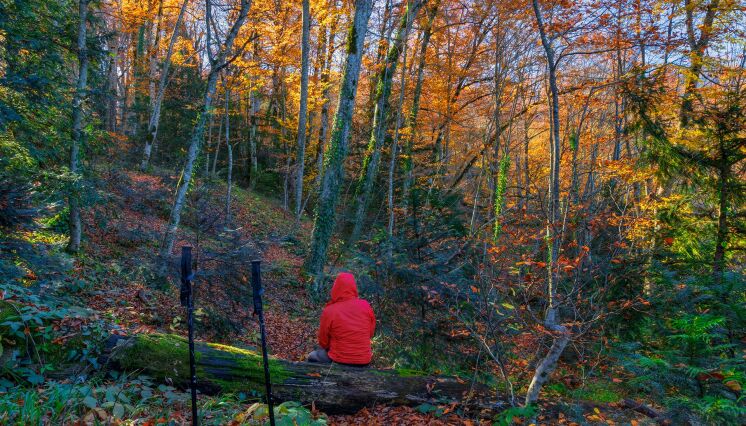 Hike between timeless mountain villages